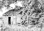 'Old Shed' drawing by Diane Wright