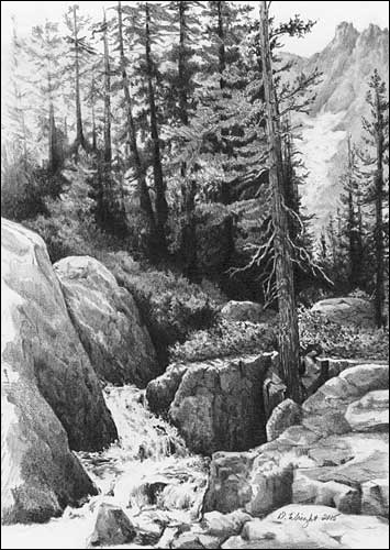 'Ansel Adams Trail' by Diane Wright