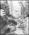 'Shadow Lake Outlet' - graphite pencil drawing by Diane Wright